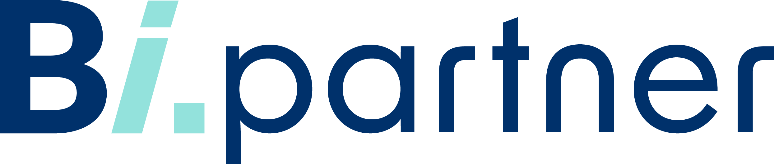 BI Partner Logo